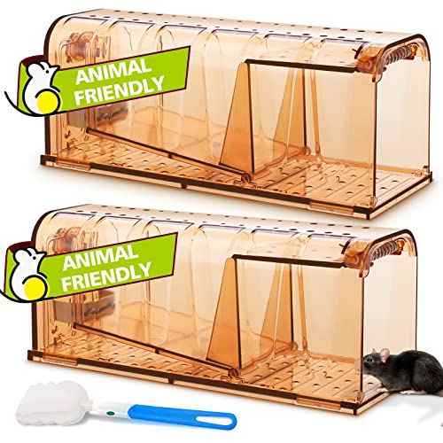 Lebendfallen für humane Mäusefänge